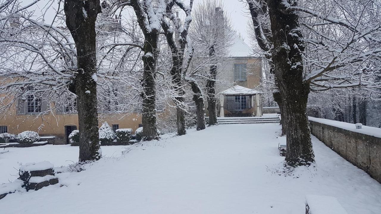Chateau De Mauvilly Bed & Breakfast Eksteriør bilde